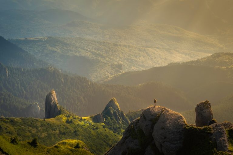 Exploring the World with Influencer Travel Services